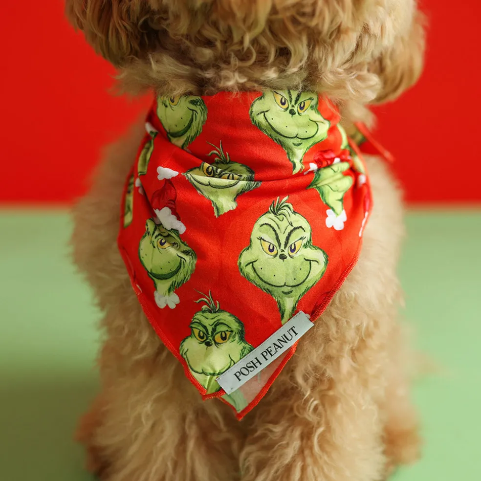 Dog Bandana