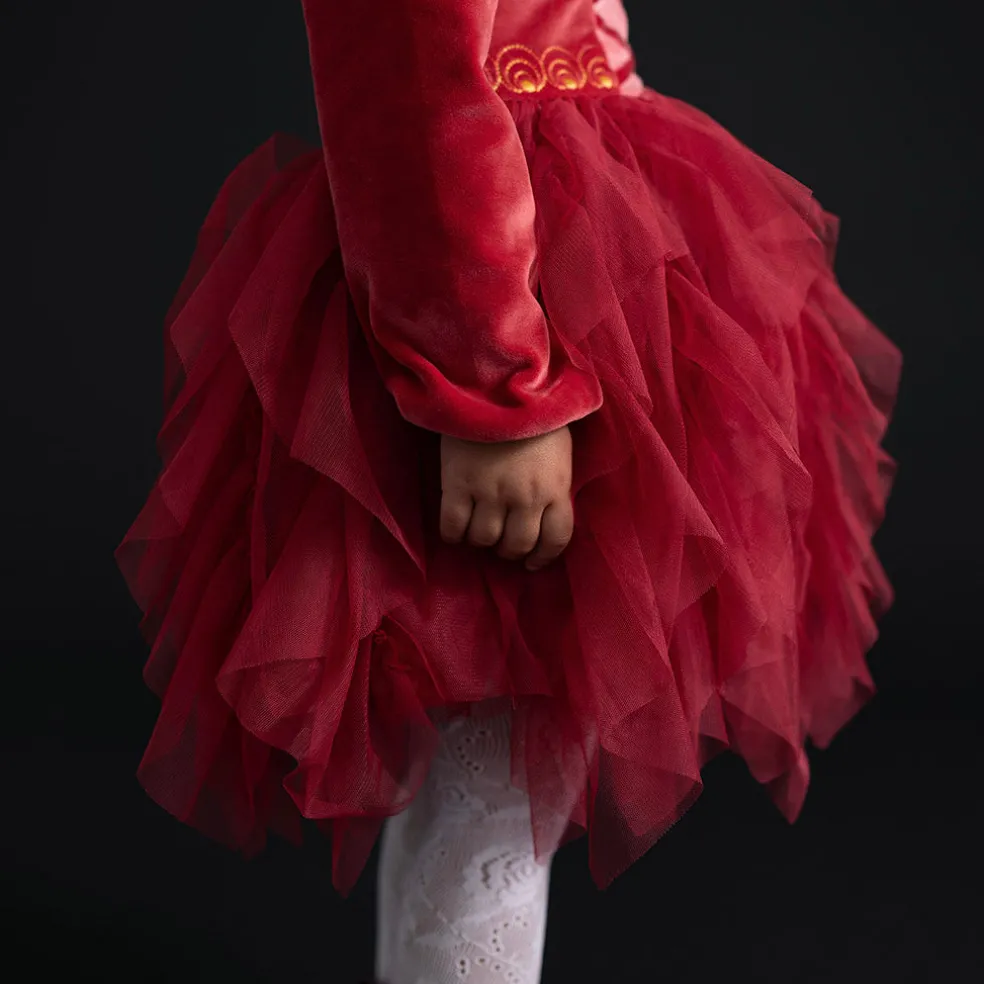 Velour Tulle Dress
