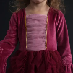 Velour Tulle Dress